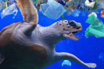 Plastique dans les océans : si on continue comme ça, il y en aura trois fois plus dans 20 ans